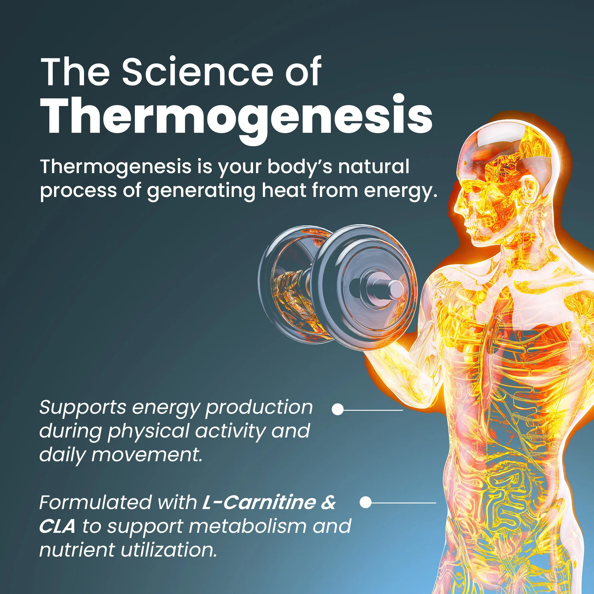 ThermoShred Capsules - Image 6