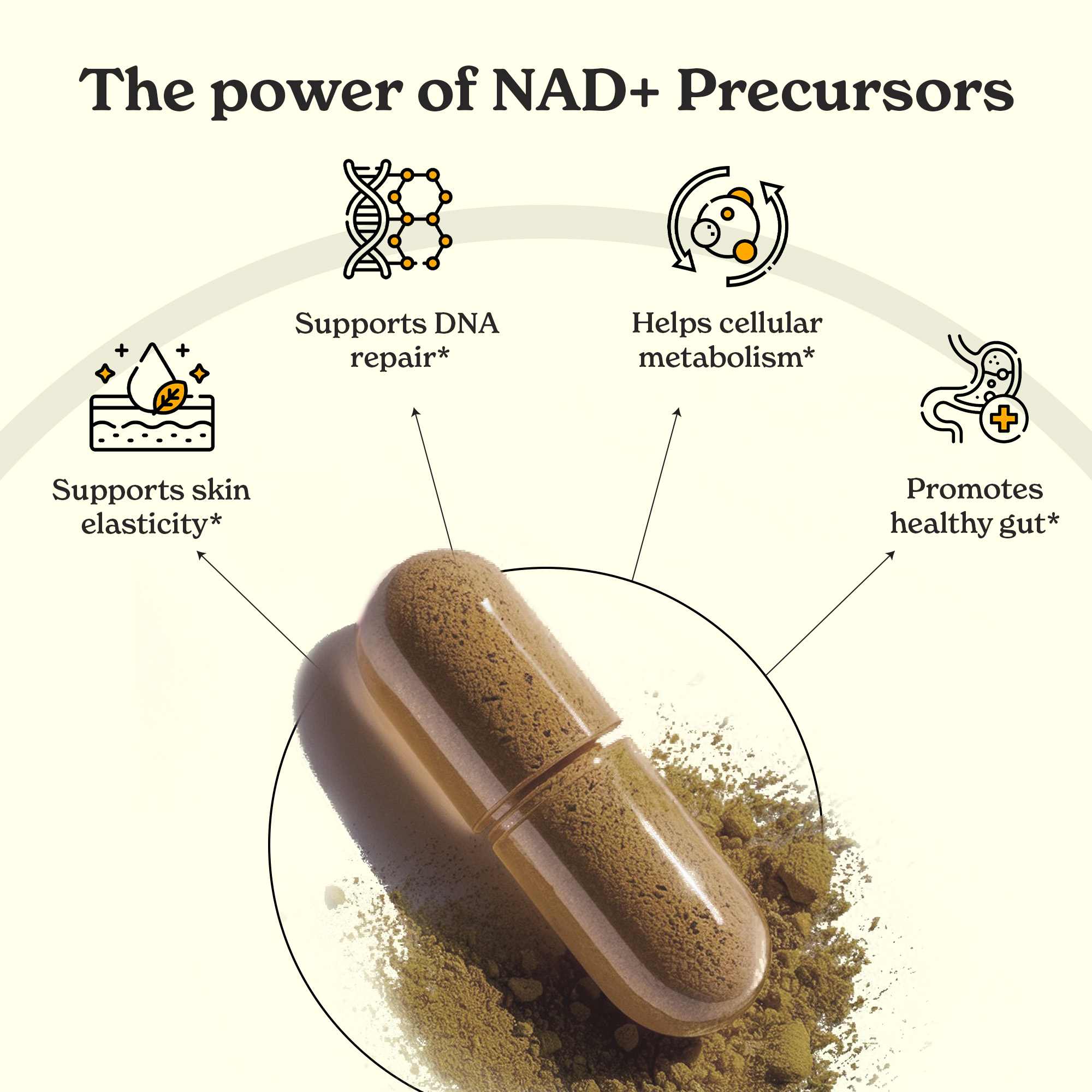 NAD+ Capsules - Image 4