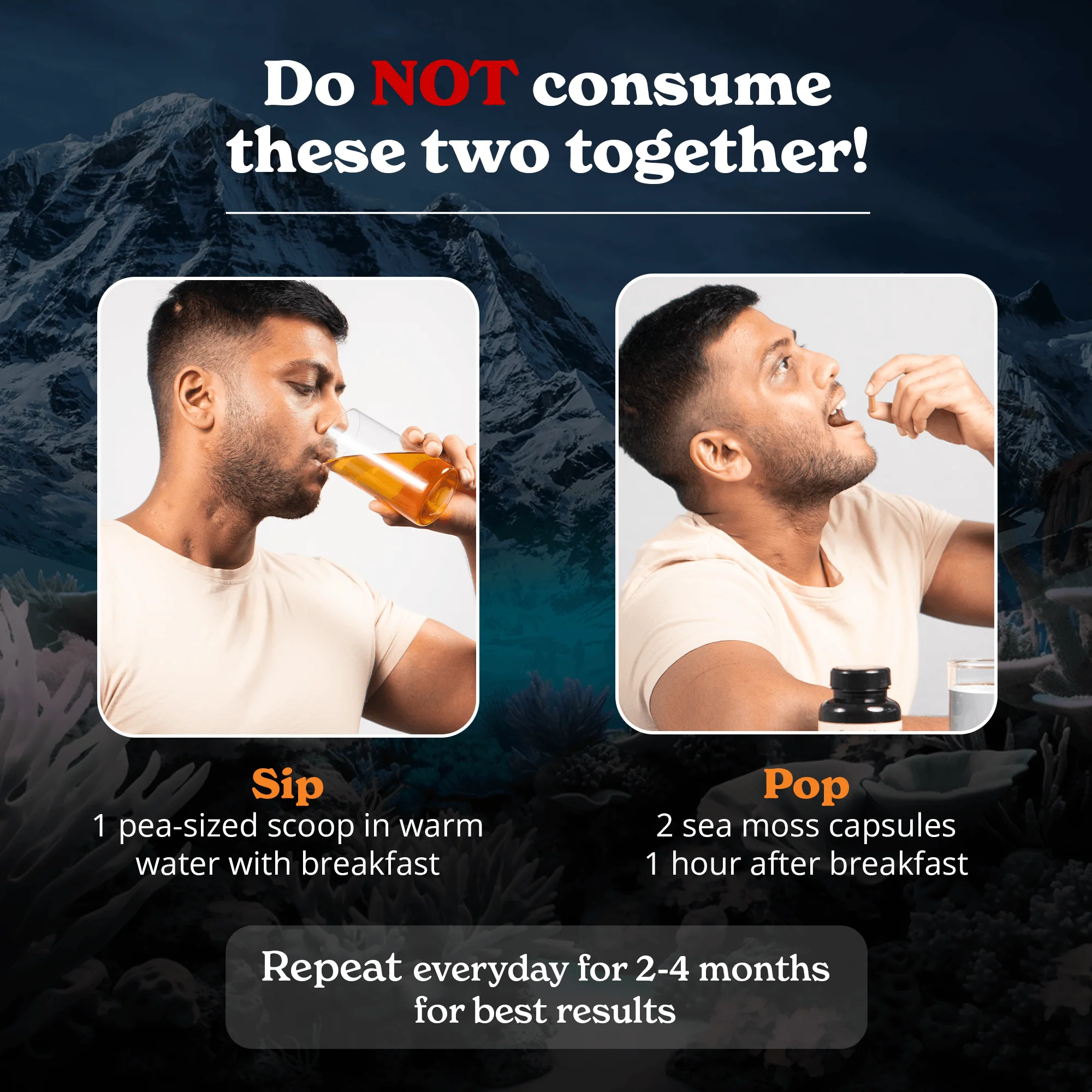 BetterAlt Ultimate Energy Duo | Shilajit Resin & Sea Moss Capsules - Image 5