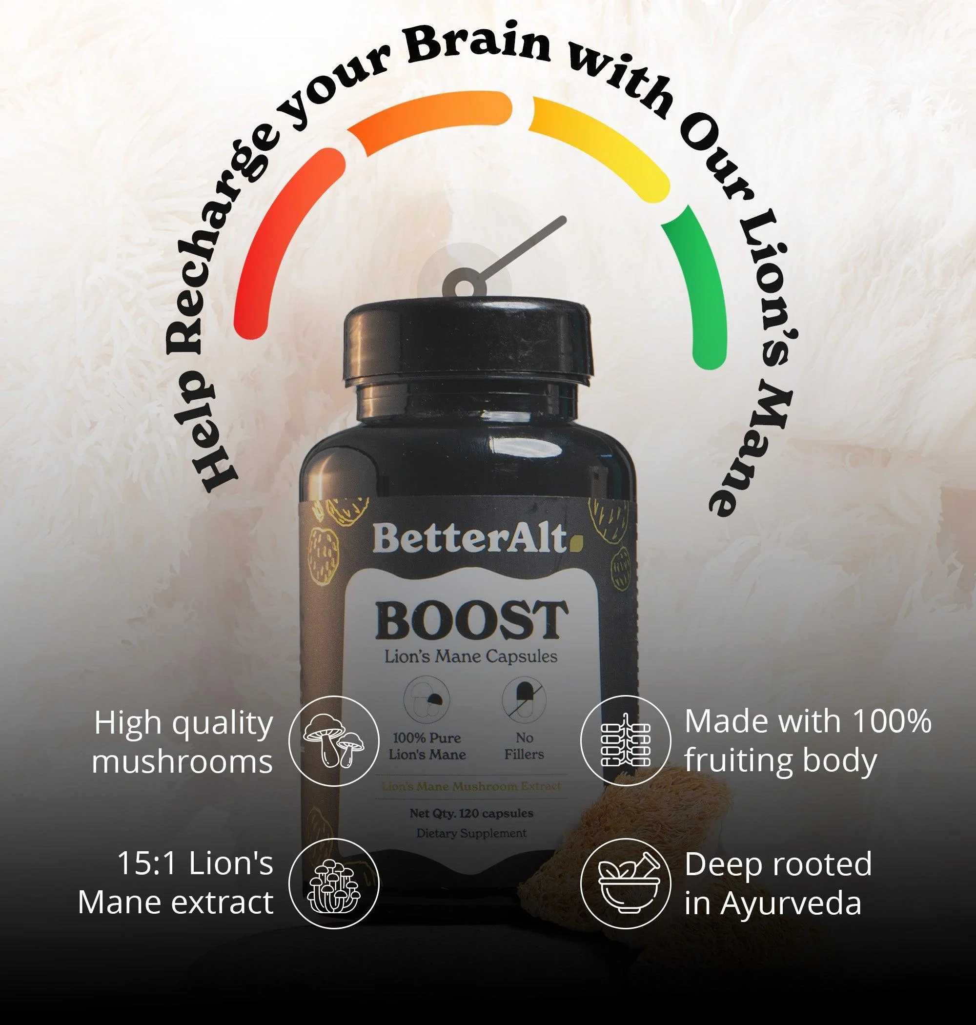 Lion's Mane Mushroom Capsules - Image 10
