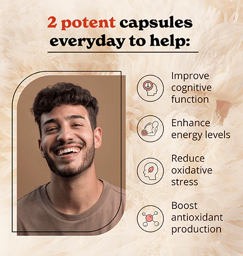 Lion's Mane Mushroom Capsules - Image 4