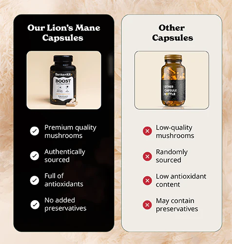 Lion's Mane Mushroom Capsules - Image 8