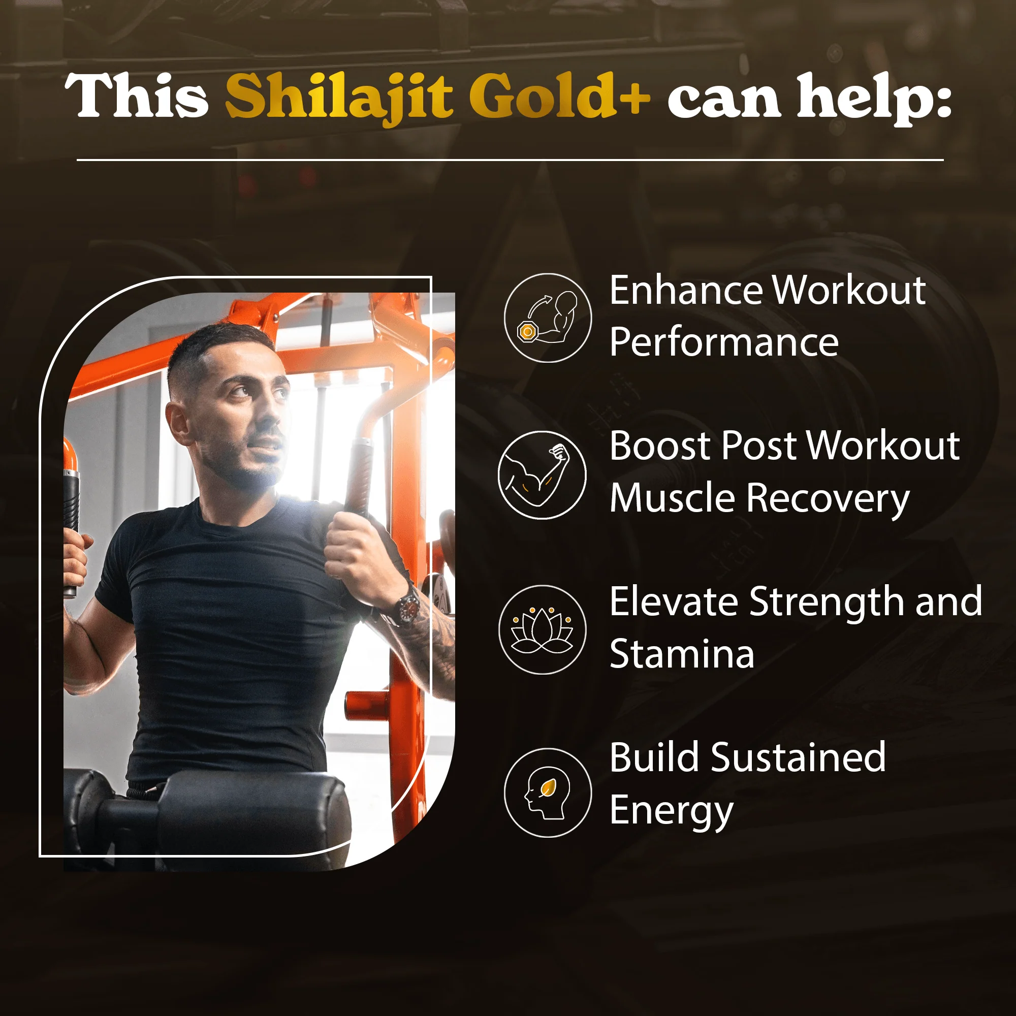 GOLD+ Himalayan Shilajit Resin - Image 7