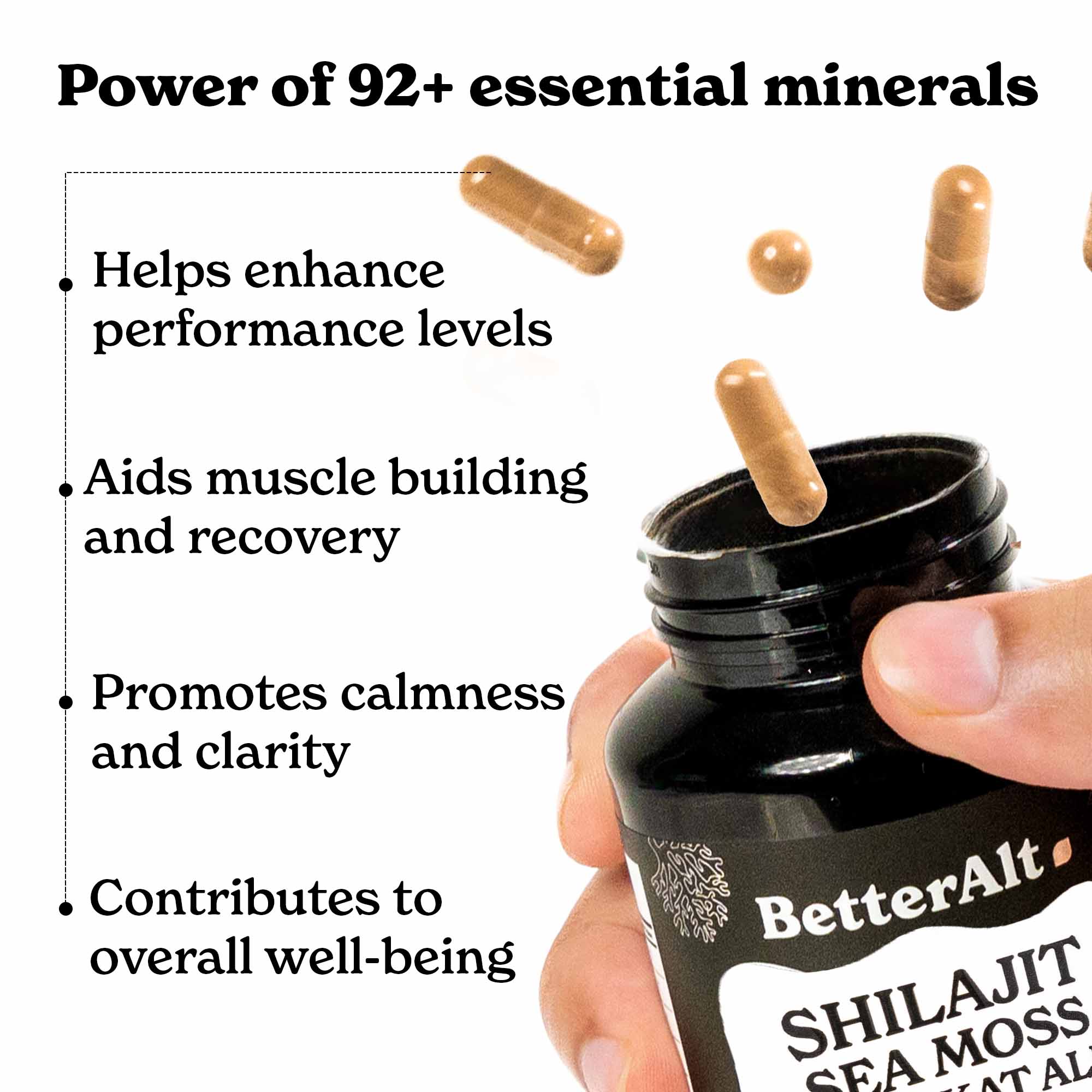 Himalayan All-in-One Capsules - Image 8