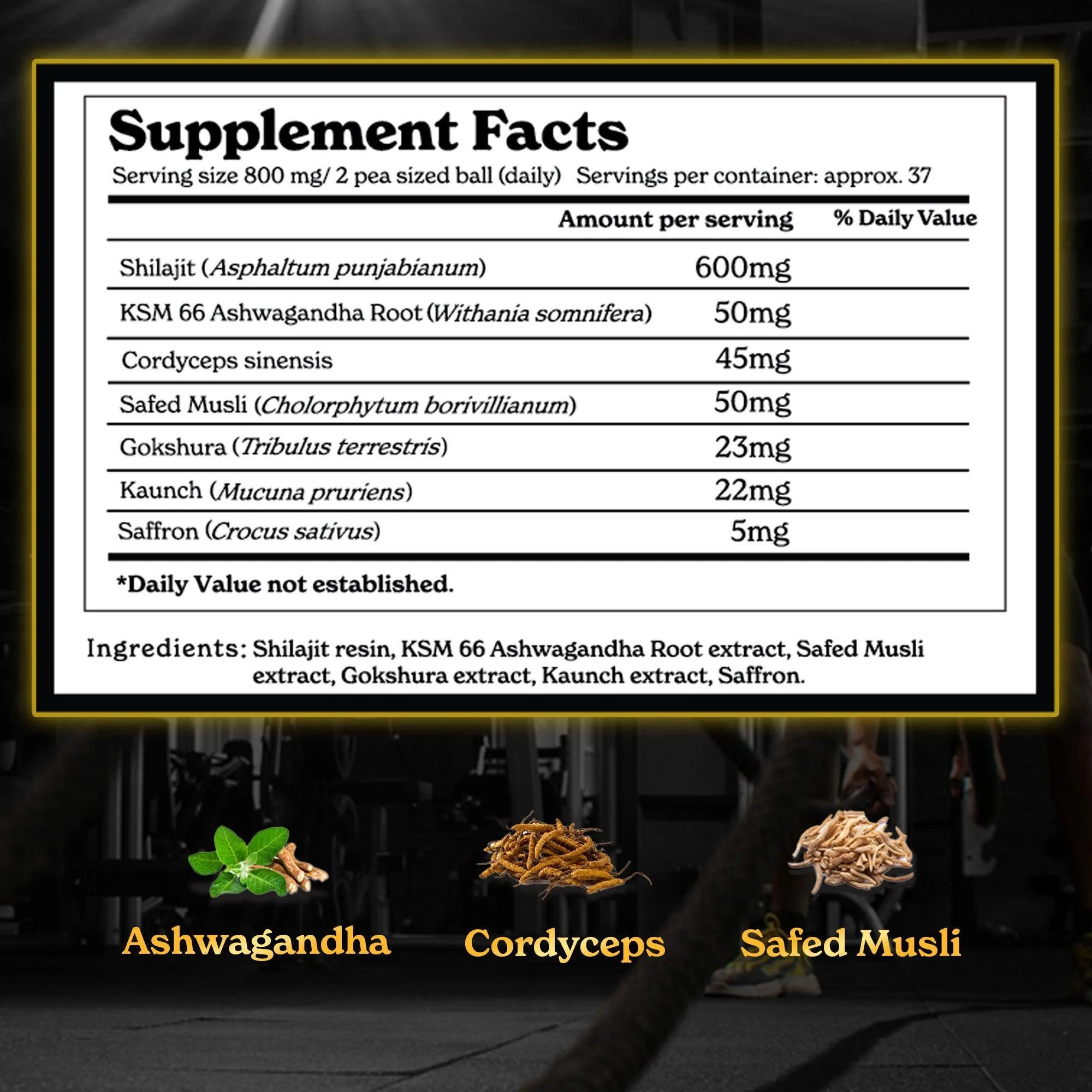 Pure Himalayan Shilajit Resin - Image 21