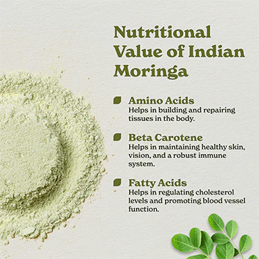 Organic Moringa Powder - Image 7