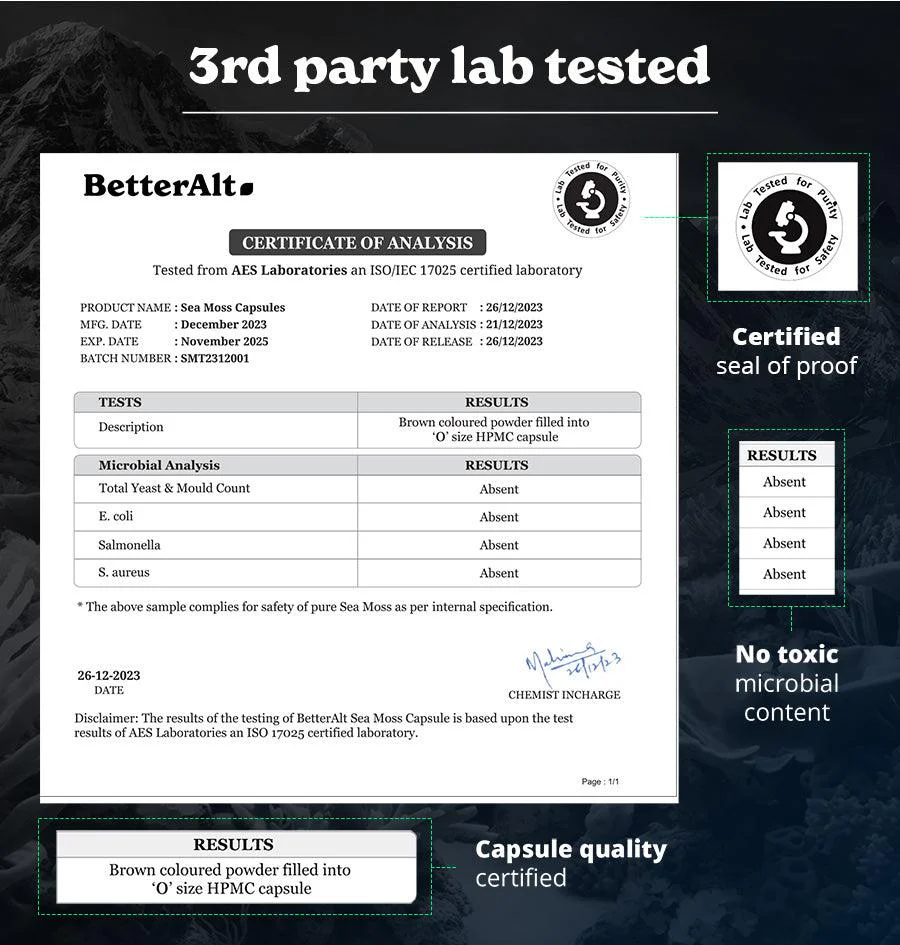 BetterAlt Ultimate Energy Duo - Image 4